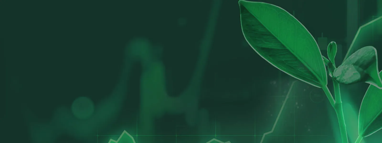 Invest4Nature banner with abstract digital plant images.