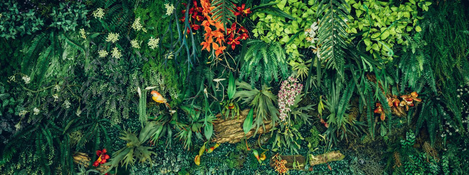 nature-based solutions