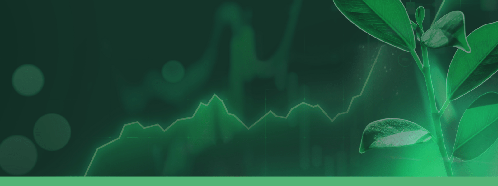 Invest4Nature banner - animated image of leaf on dark green background with financial graph overlaying