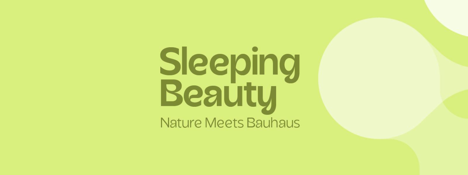 sleeping beauty banner