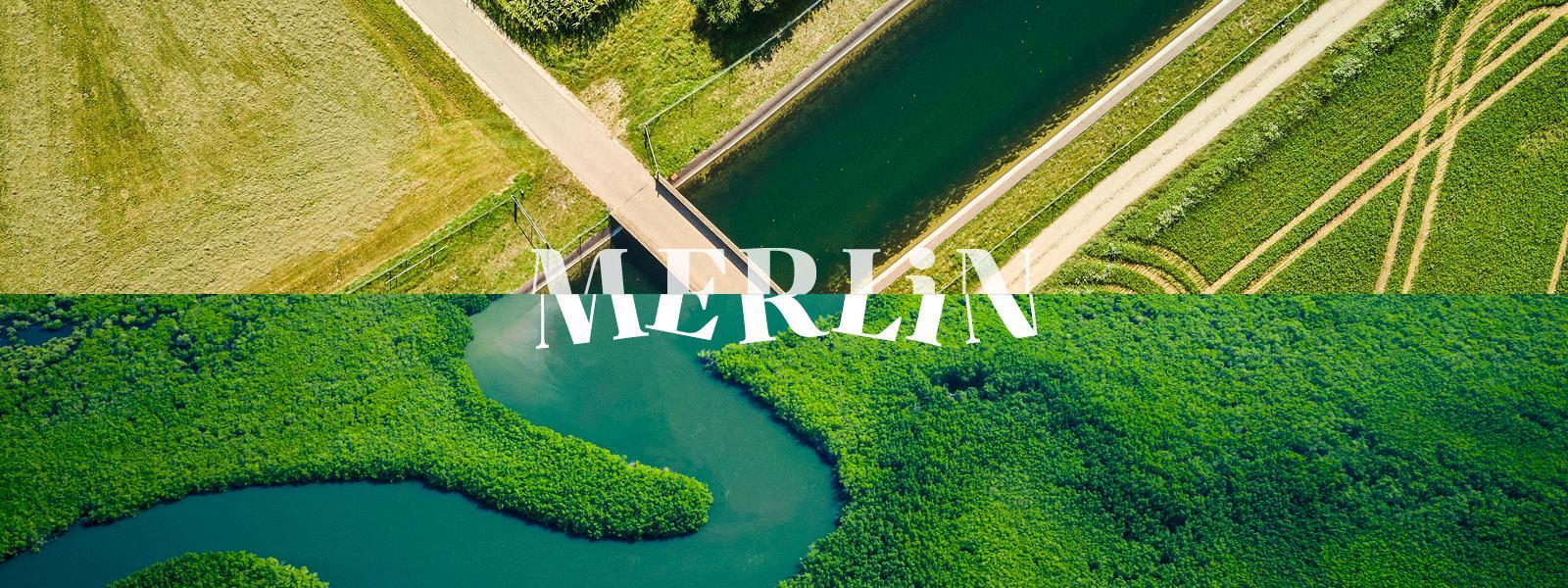 merlin branded header