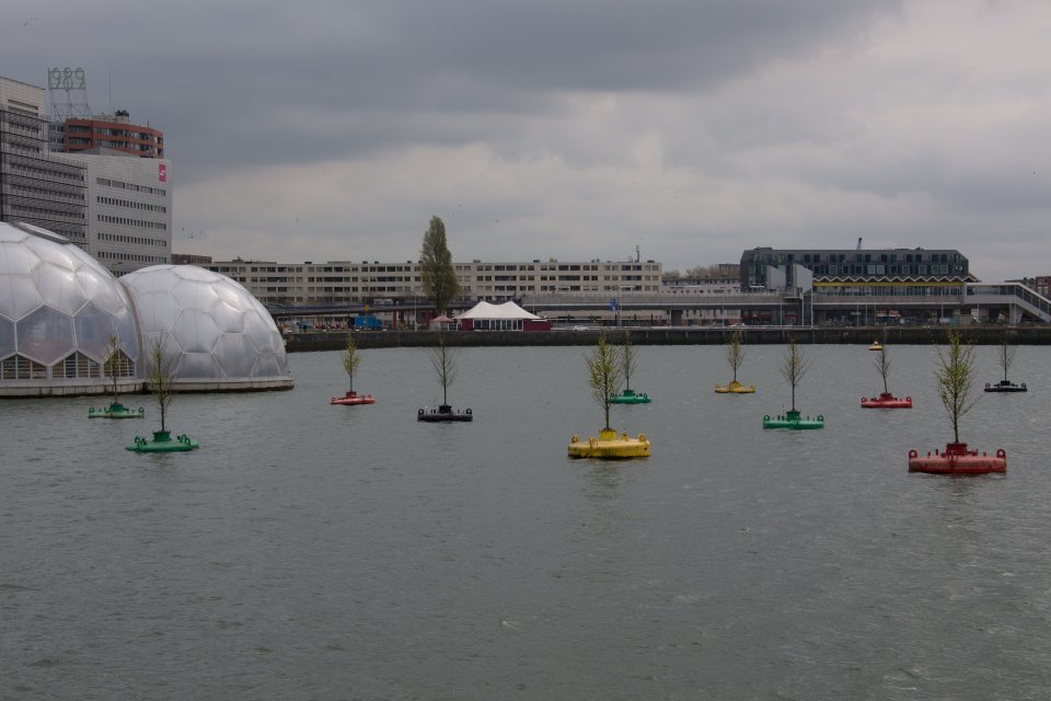 rotterdam-floating-pavillion-naamloos-49.jpg rotterdam-floating-pavillion-naamloos-49.jpg