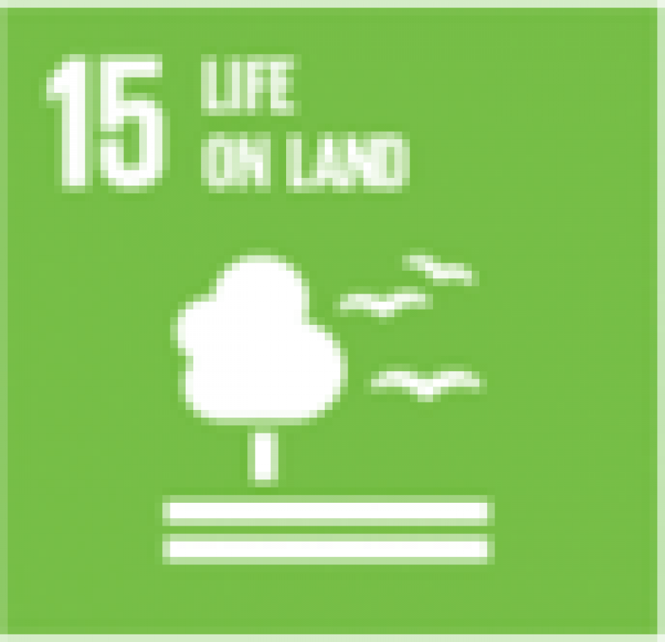 SDG 15