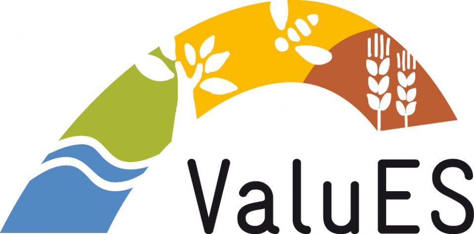 ValuES ValuES