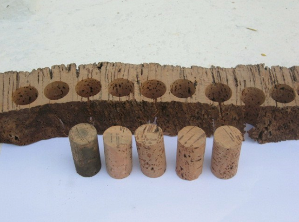 Cork stoppers