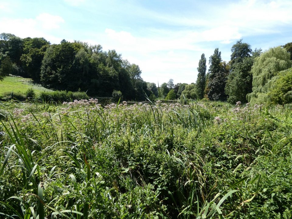 Enhancing Brussels Ecological Network - Belgium