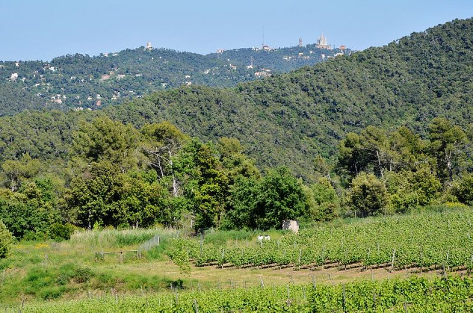 Serra de Collserola Natural Park – Barcelona, Spain Serra de Collserola Natural Park – Barcelona, Spain