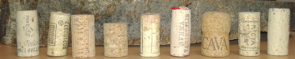 Different samples of cork stoppers Different samples of cork stoppers