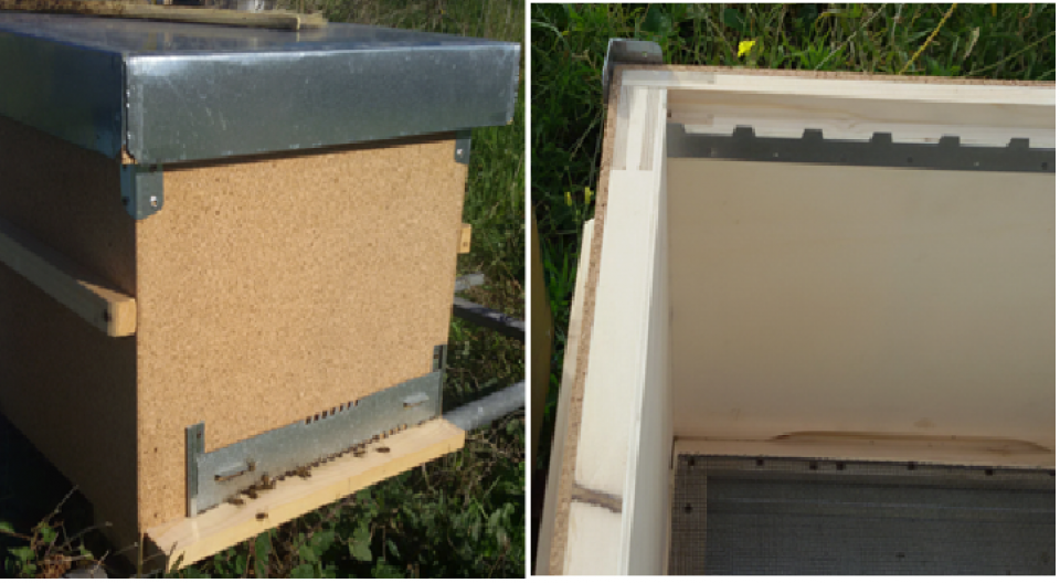 Experimental insulated beehive with cork panel and interior wall detail
