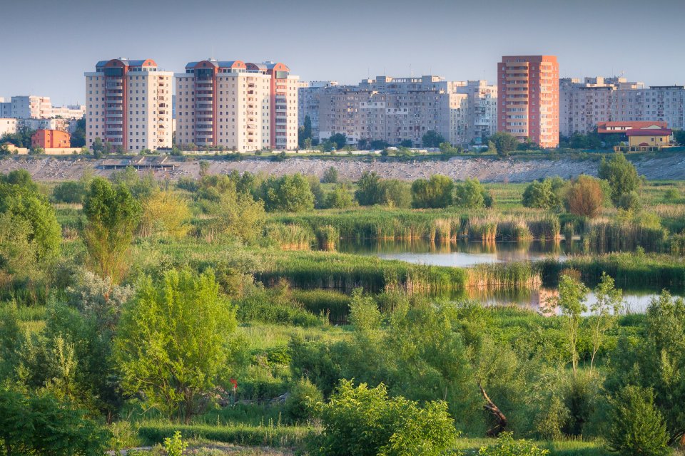 Vacaresti Nature Park Reserve