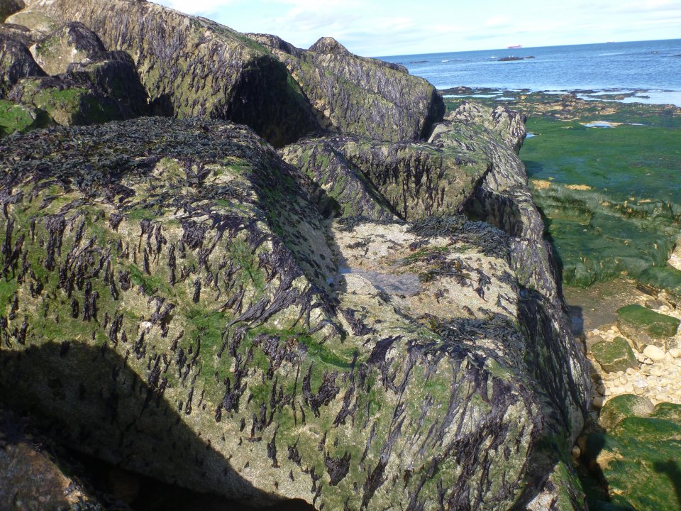 Passive enhanced boulder with water retention feature uppermost. Passive enhanced boulder with water retention feature uppermost.