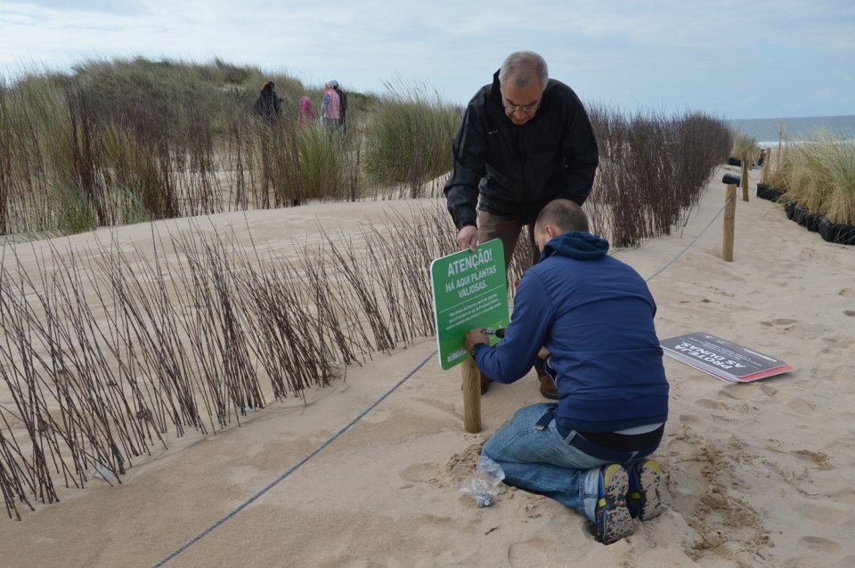 Almada municipality:Ecological restoration of a coastal sand dunes ecosystem