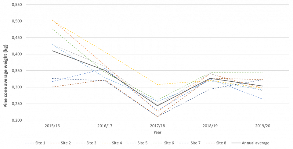 Pine cone average weight between 2015 e 2020 in 8 sites located in Ribatejo (Portugal)