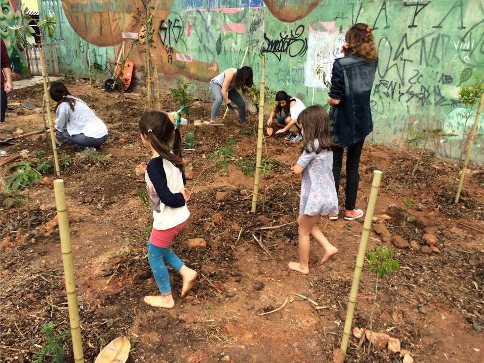 Example of a forest restoration planned and conducted by activists and local engaged population in the city of São Paulo (image courtesy by Ricardo Cardim).