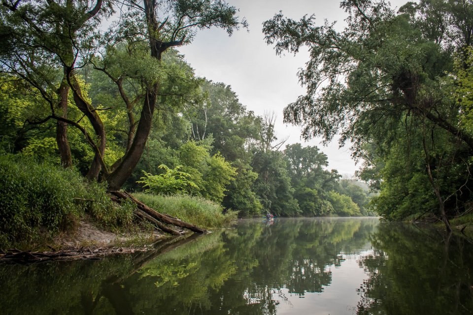 Danube-Auen National Park - Vienna, Austria