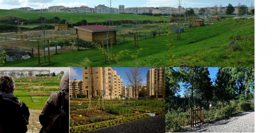 UAG parks were installed since 2011 as part of a process of social inclusion, where quality of the public space was the decisive point for citizen engagement and approval. UAG parks were installed since 2011 as part of a process of social inclusion, where quality of the public space was the decisive point for citizen engagement and approval.