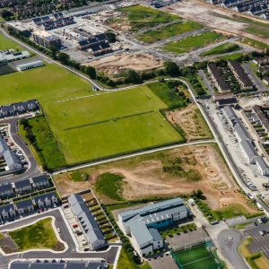 Bioblitz, Limerick, May 2023