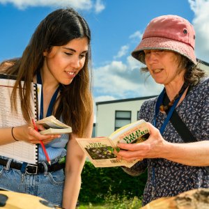 Bioblitz, Limerick, May 2023