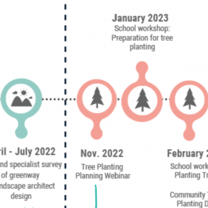 Castletroy Urban Greenway public engagement timeline infographic