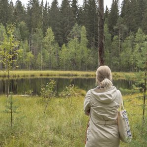 Lahti monitoring - site visit