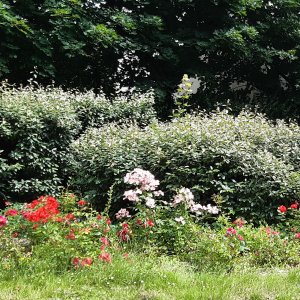 Square Blaise Pascal before NBS - July 2021