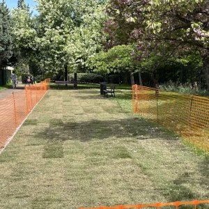 Square Blaise Pascal - increasing the greenspace - April 2023