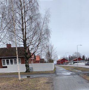 Umea monitoring, October 2023