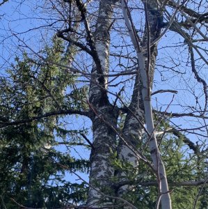 Baseline monitoring in Lahti - May 2023