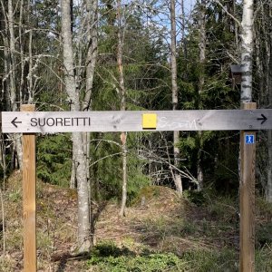 Baseline monitoring in Lahti