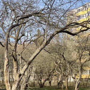 Vormsi Park, Tallinn, site visit meeting with architects, April 2023