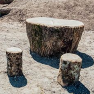 Seating on the Castletroy Urban Greenway natural play area