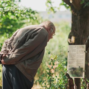 Tallinn seedbed intervention event September 2022
