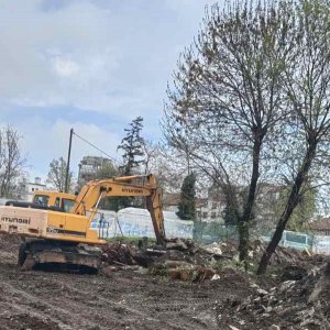Park Gurko site preparation