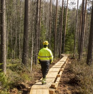 Health Forest construction, Lahti, May 2023