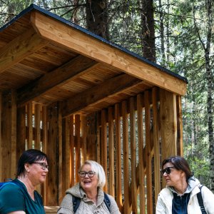 Health Forest construction, Lahti, May 2023