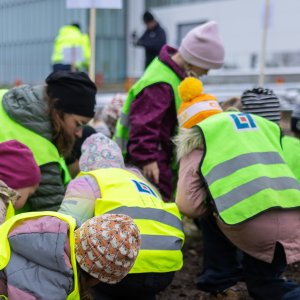 Community planting event, Umea, October 2023 