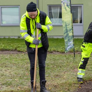 Community planting event, Umea, October 2023 