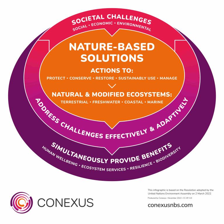 Nature based solutions infographic
