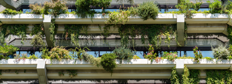 Urban nature innovation on balconies