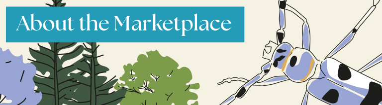 Graphical banner saying "About the Marketplace"