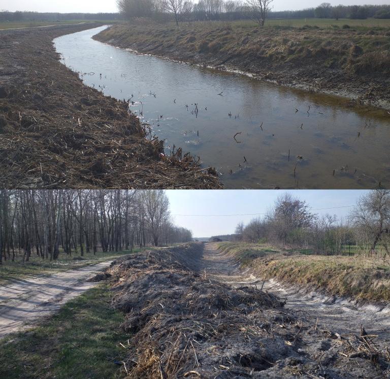 Two images comparing a healthy channel with water and dried up channel