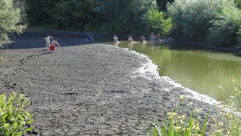Dried out water with people stuck in the dry mud, while people pulling out fish nets from the water