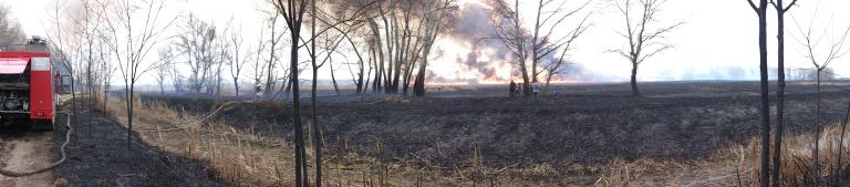 Dried out field on fire.