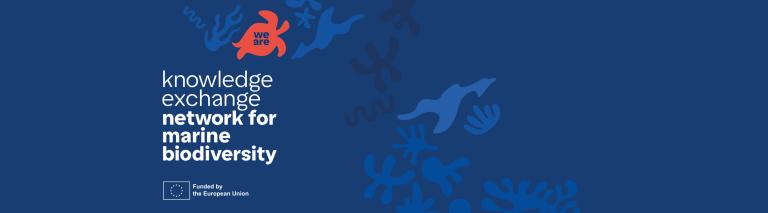 navy blue seascape background with red turtle overlay