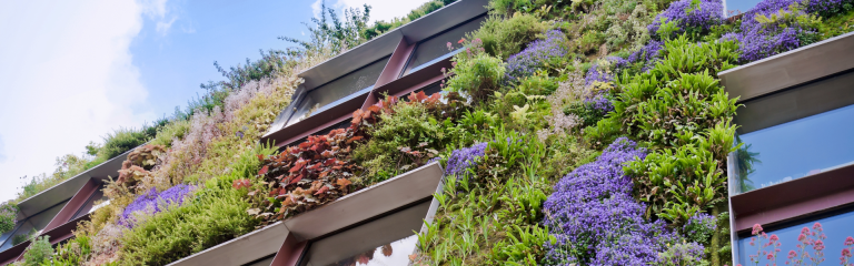 Green building banner