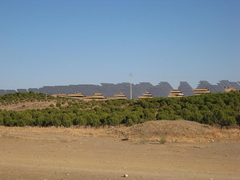 Solar park on a dry grassland behind olive trees