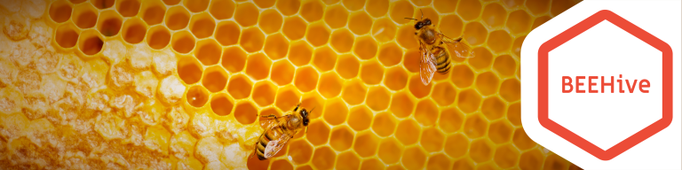 BEEHive banner - bees buzzing around honeycomb