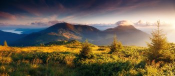 Carpathian Mountains