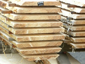 Pinus pinaster sawing block