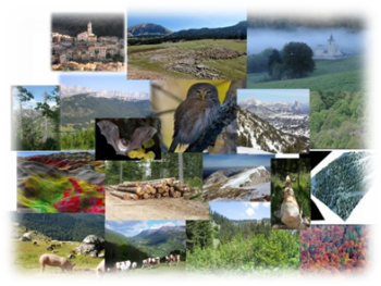 case study land resources case study land resources